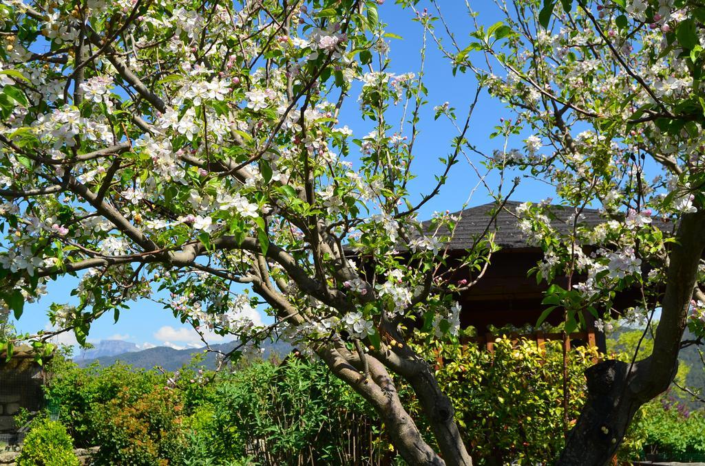 Casa Rural La Era Sieste Exterior foto